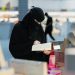 'جدة تقرأ' ينطلق الخميس بمشاركة 1000 دار نشر