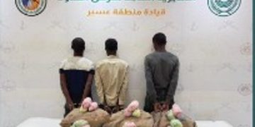 حرس الحدود بعسير يقبض على 3 إثيوبيين لتهريبهم 60 كيلو جراما من القات المخدر