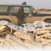 دوريات المجاهدين بالمنطقة الشرقية تضبط مخالفا من الجنسية البنجلاديشية لنظام البيئة