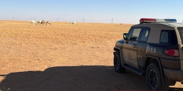 ضبط مواطن لارتكابه مخالفة رعي في محمية الإمام عبدالعزيز بن محمد الملكية