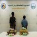 ضبط يمنيين بعسير لتهريبهما 40 كيلوجرامًا من نبات القات المخدر