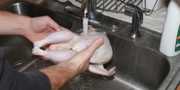 مختص: غسل الدجاج قبل وضعه في الماء المغلي خطأ كبير
