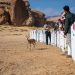 مركز الحياة الفطرية يطلق 37 كائنًا فطريًا في محمية الحِجر بالعُلا