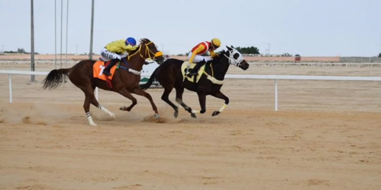 ميدان الفروسية بالأحساء يعلن نتائج سباقه السابع