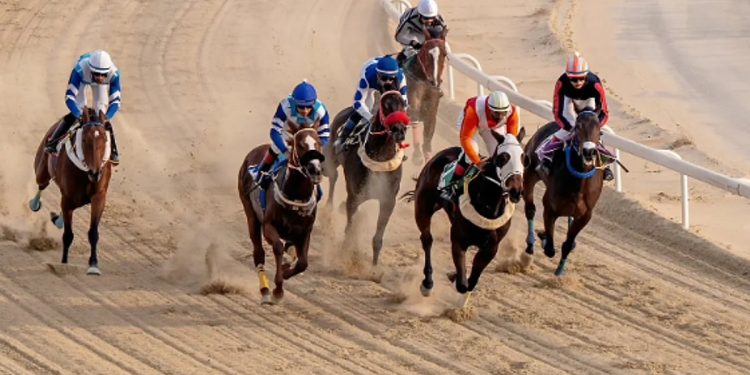 ميدان فروسية الجبيل يقيم حفل سباقه الثالث للموسم الحالي 1447هـ