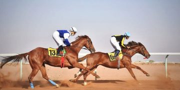 ميدان فروسية حائل ينظم اليوم حفل سباقه السادس