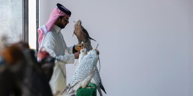 نادي الصقور السعودي يختتم مشروع توثيق ملكيات الصقور وتصحيح أوضاعها