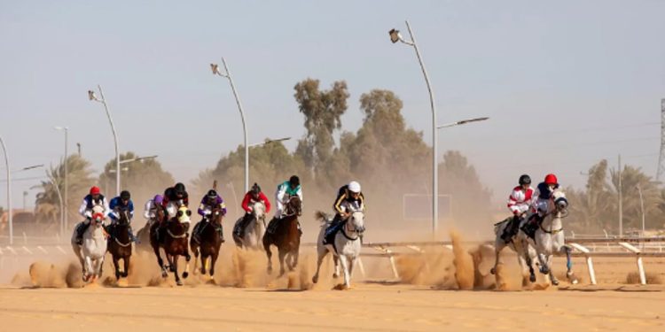20 فائزًا خلال حفل السباقات السابع بميدان فروسية الجوف