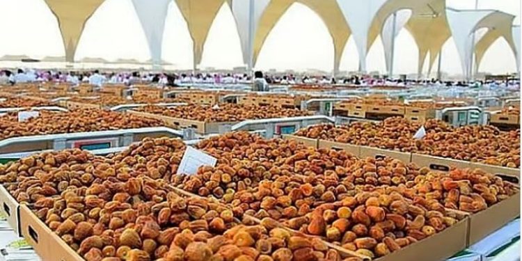 "النخيل والتمور": أكثر من 1500 متجر تجزئة إضافية حول العالم تستعرض منتجات التمور السعودية