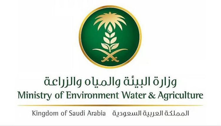 «أم القرى» تنشر قرار نقل مقر اللجنة الدائمة للوقاية من سوسة النخيل الحمراء ومكافحتها