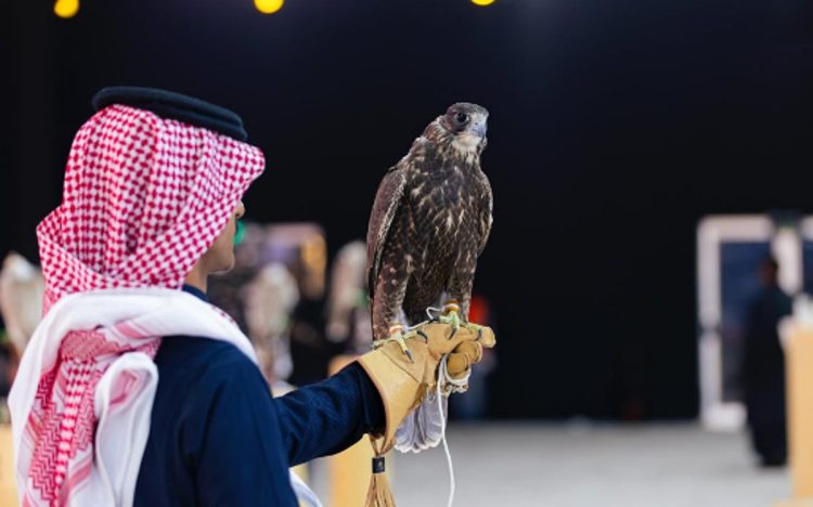 إعلان الفائزين في مسابقة المزاين بمهرجان الملك عبدالعزيز للصقور 2025