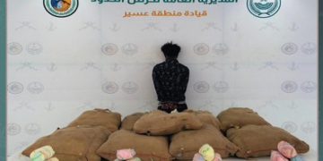 القبض على مخالف من الجنسية الإثيوبية لتهريبه 180 كيلوجرامًا القات في عسير