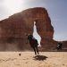 بطولة العُلا لبولو الصحراء 2026 تكشف جدول المنافسات وتستقطب نخبة من نجوم العالم