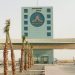 جامعة الحدود الشمالية تطلق مبادرة «استثمر مهاراتك» لطالبات المرحلة المتوسطة