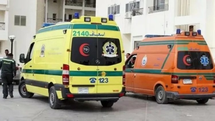 جريمة مأساوية بصعيد مصر.. رجل يقتل والده ويصيب والدته بنوبة نفسية