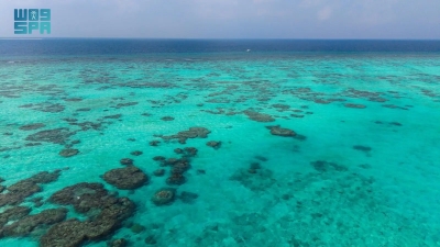 جزيرة مرمر.. طبيعة ساحرة وسياحة بحرية مستدامة