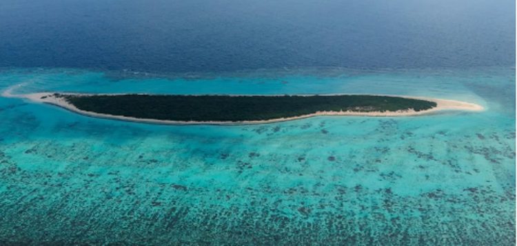 جزيرة مرمر..  محمية طبيعية تزخر بتنوعها البيئي في محافظة الليث