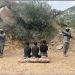 حرس الحدود بجازان يقبض على 3 يمنيين لتهريبهم 60 كيلوجرامًا من القات المخدر