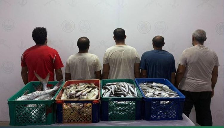 ضبط 5 مخالفين مصريين للائحة الأمن والسلامة لمزاولي الأنشطة البحرية في المملكة