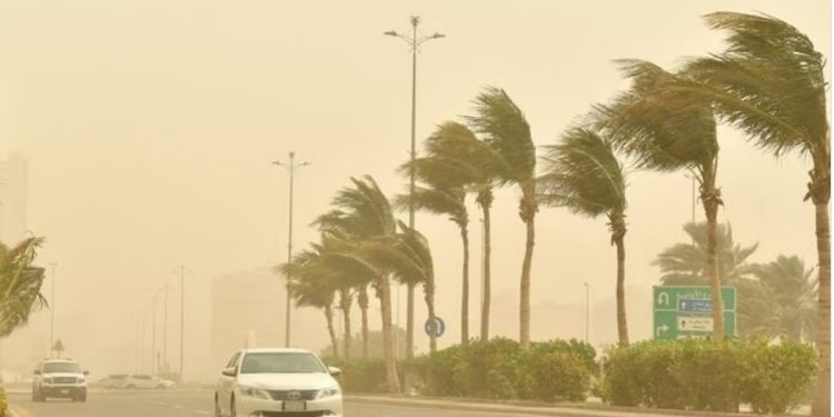 طقس الخميس.. رياح نشطة مثيرة للأتربة والغبار وأمطار خفيفة على عدة مناطق