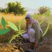 لتعزيز أهداف «السعودية الخضراء».. البرنامج الوطني للتشجير و«الفاو» يناقشان مراقبة النظام البيئي والتحقق الحقلي
