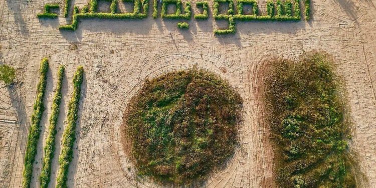 محمية النباتات البرية جنوب رفحاء.. وجهة بيئية تزدهر بالطبيعة وتستقطب الزوار