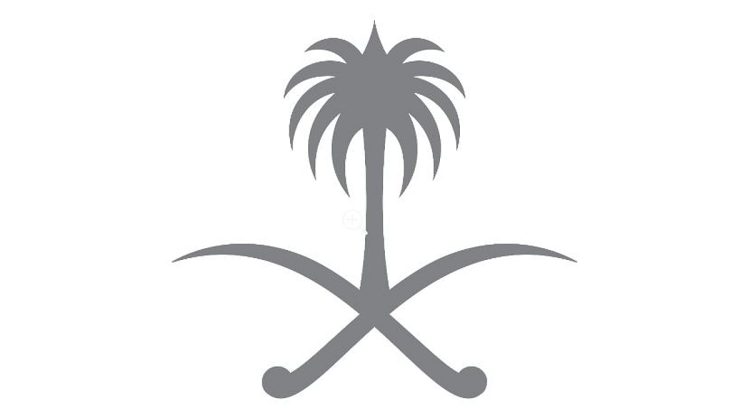 مرسوم ملكي يشمل نظام جوازات السفر السياسية والخاصة بشأن البعثات الدولية بمجالات التربية والثقافة والعلوم