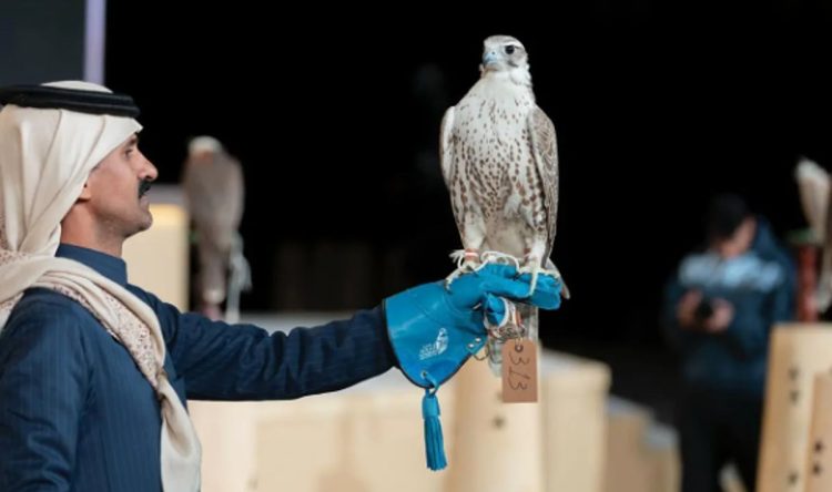 «مزاين الصقور» تختتم ثاني أيامها بـ3 أشواط في مهرجان الملك عبدالعزيز 2025