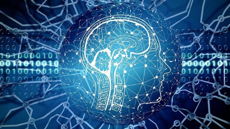 منظمة التعاون الاقتصادي تحذر من أضرار الذكاء الاصطناعي على التعليم