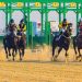 ميدان سباقات الخيل بنجران يُعلن نتائج حفل سباقه الـ15 للموسم الحالي