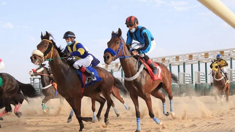 ميدان فروسية الأحساء يقيم سباقه الثالث عشر