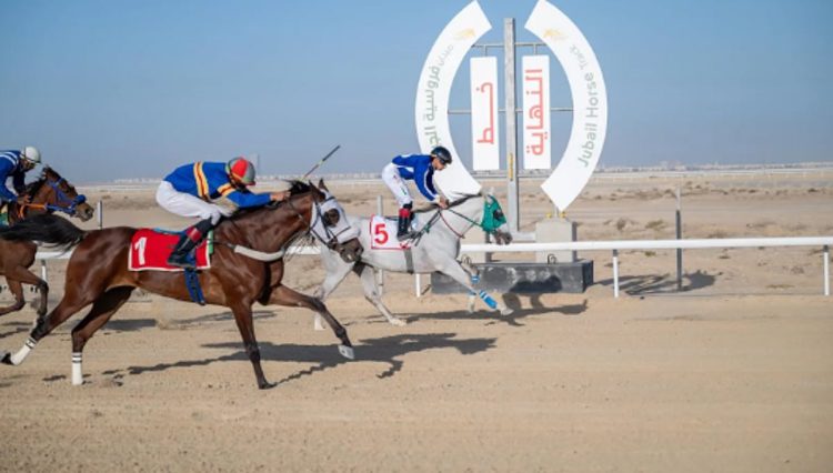 ميدان فروسية الجبيل يقيم سباقه الرابع للموسم الحالي 1447هـ