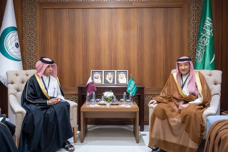 نائب وزير الخارجية يلتقي وزراء خارجية قطر وفلسطين وباكستان