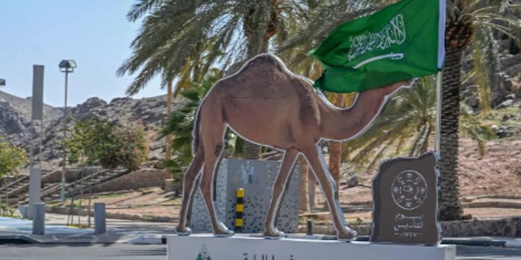 1250 علمًا ومجسمًا تراثيًا تزيّن ميادين وطرق حائل احتفاءً بيوم التأسيس
