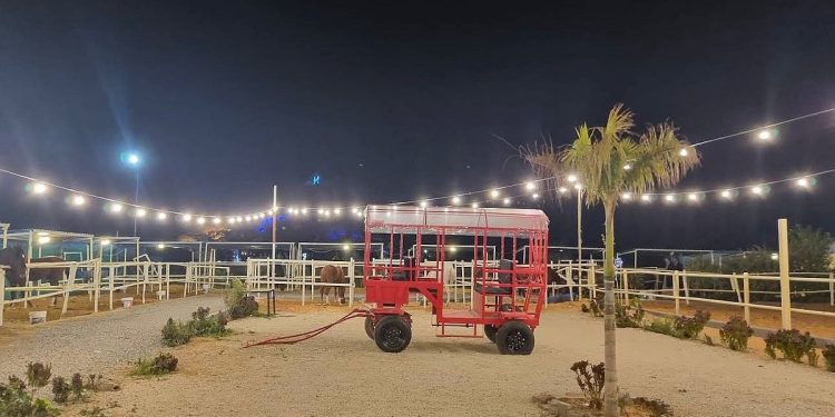 «ورق سدرة».. فعالية ثقافية تستحضر أصالة الجبال وحكايات المكان في حائل