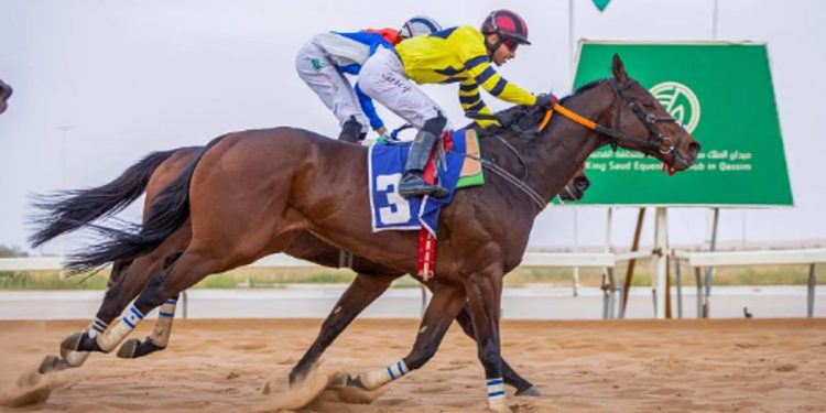 «أبر كلاس» يتوج بكأس الحفل الخامس عشر بميدان الملك سعود للفروسية بالقصيم