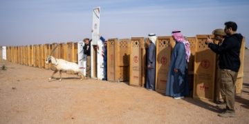 إطلاق 75 من ظباء الريم والمها الوضيحي في محمية المؤسس