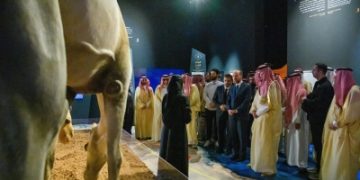 'الهجرة على خطى الرسول'.. أحداث الهجرة بثوب معاصر