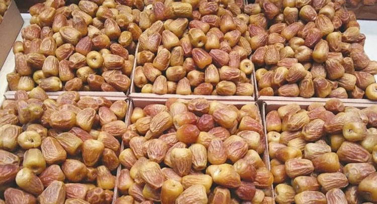 بنحو 584 ألف طن و30 صنفًا.. تمور القصيم تُزيّن موائد رمضان بتنوع وفوائد غذائية