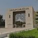 جامعة الإمام تحتل المرتبة 11 عالميًا في عدد من براءات الاختراع المسجلة