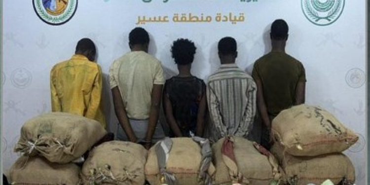 حرس الحدود بعسير يقبض على 5 إثيوبيين لتهريبهم 105 كيلوجرامات من القات المخدر