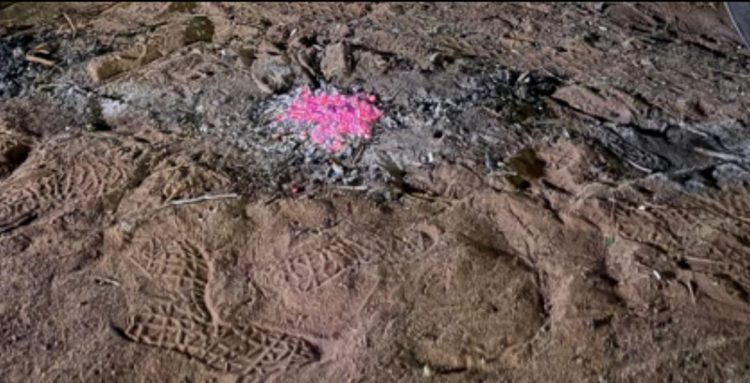 ضبط مواطن مخالف داخل محمية الأمير محمد بن سلمان الملكية