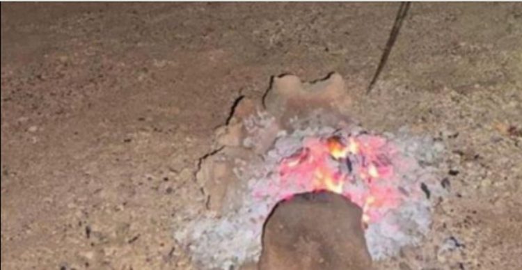 ضبط مواطن مخالف لنظام البيئة في محمية الأمير محمد بن سلمان الملكية