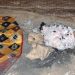 ضبط مواطن مخالف لنظام البيئة في محمية طويق الطبيعية