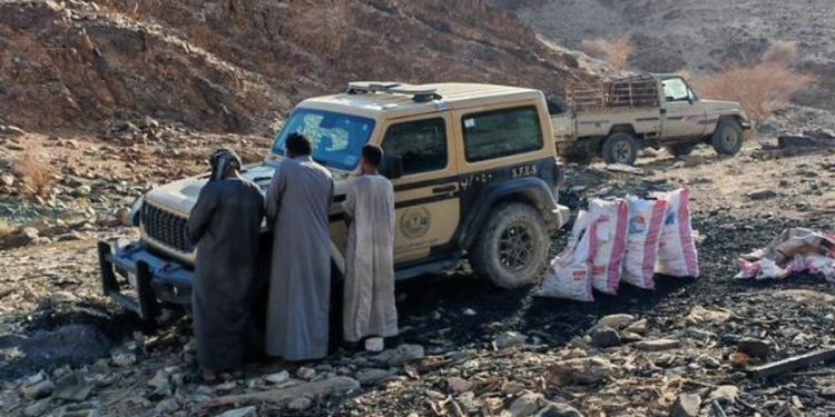 ضبط مواطنين ومقيم سوداني لاقتلاعهم الأشجار وحرقها لإنتاج الفحم المحلي بالمدينة المنورة