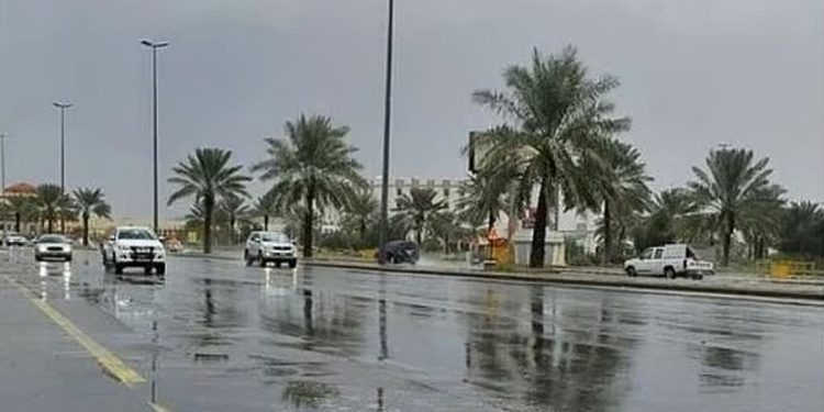 طقس المملكة الأربعاء.. أمطار رعدية وزخات برد ورياح نشطة على عدة مناطق