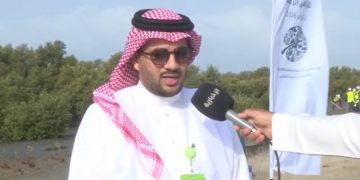 مدير «الغطاء النباتي» في جازان: زراعة 1000 شتلة مانجروف وإعادة تأهيل 2.5 مليون شجرة ضمن جهود حماية الأراضي الرطبة