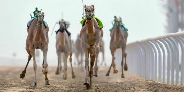 ميدان الجنادرية بالرياض يستضيف اليوم نهائي دوري هجان