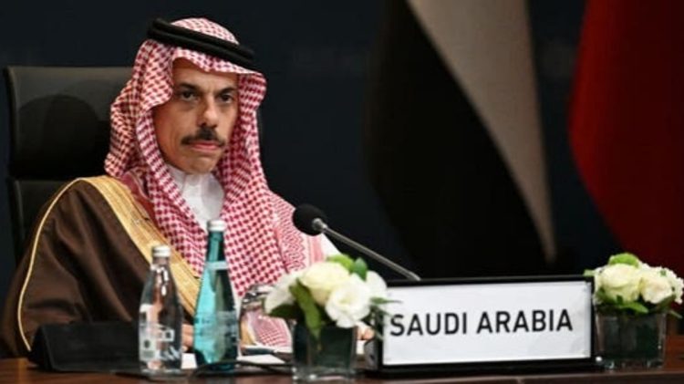 وزير الخارجية: الموت في غزة لم يتوقف رغم الهدنة.. ودول العالم أصبحت أكثر صراحة