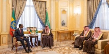 وزير الخارجية يبحث مع نظيره الإثيوبي مستجدات المنطقة